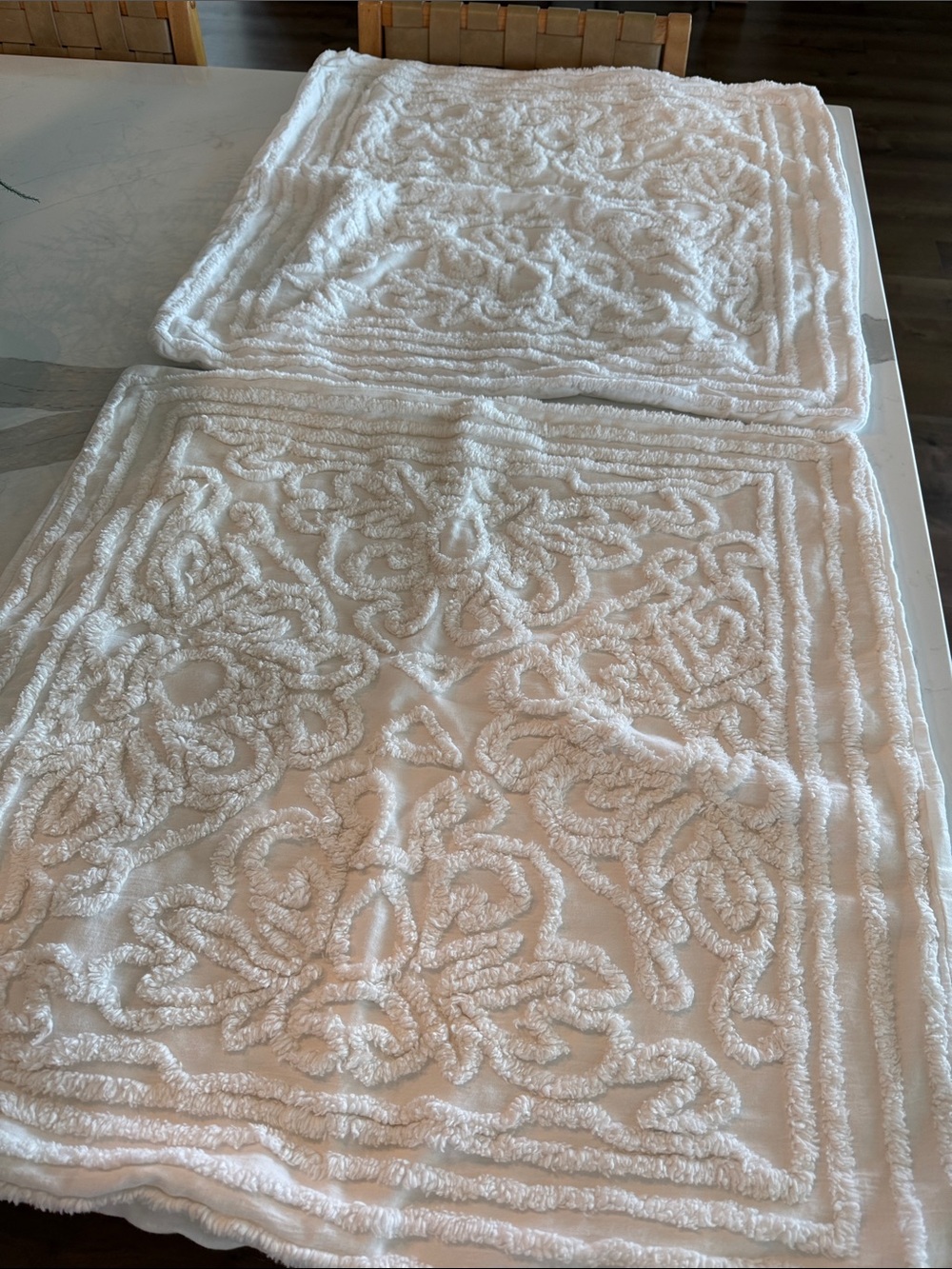 Pottery Barn Ivory Textured Floral euro shams